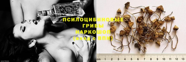 хмурый Волоколамск