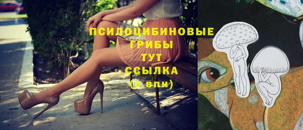 spice Волосово