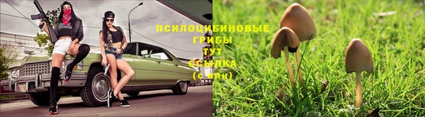 spice Волосово