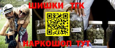 тгк Камышлов