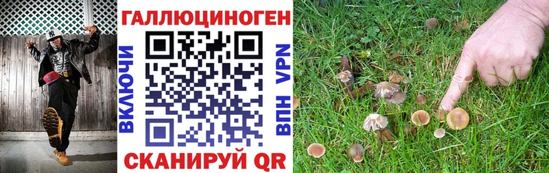 Псилоцибиновые грибы Magic Shrooms  нарко площадка официальный сайт  Мончегорск  купить наркоту  blacksprut вход 